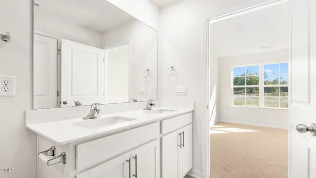 a bathroom with a sink double vanity and a mirror