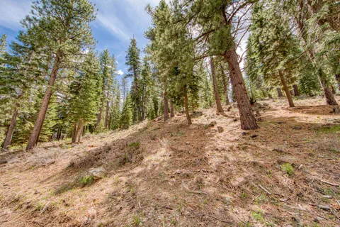 $160,000 | 15675 Donnington Lane, Truckee, CA 96161
