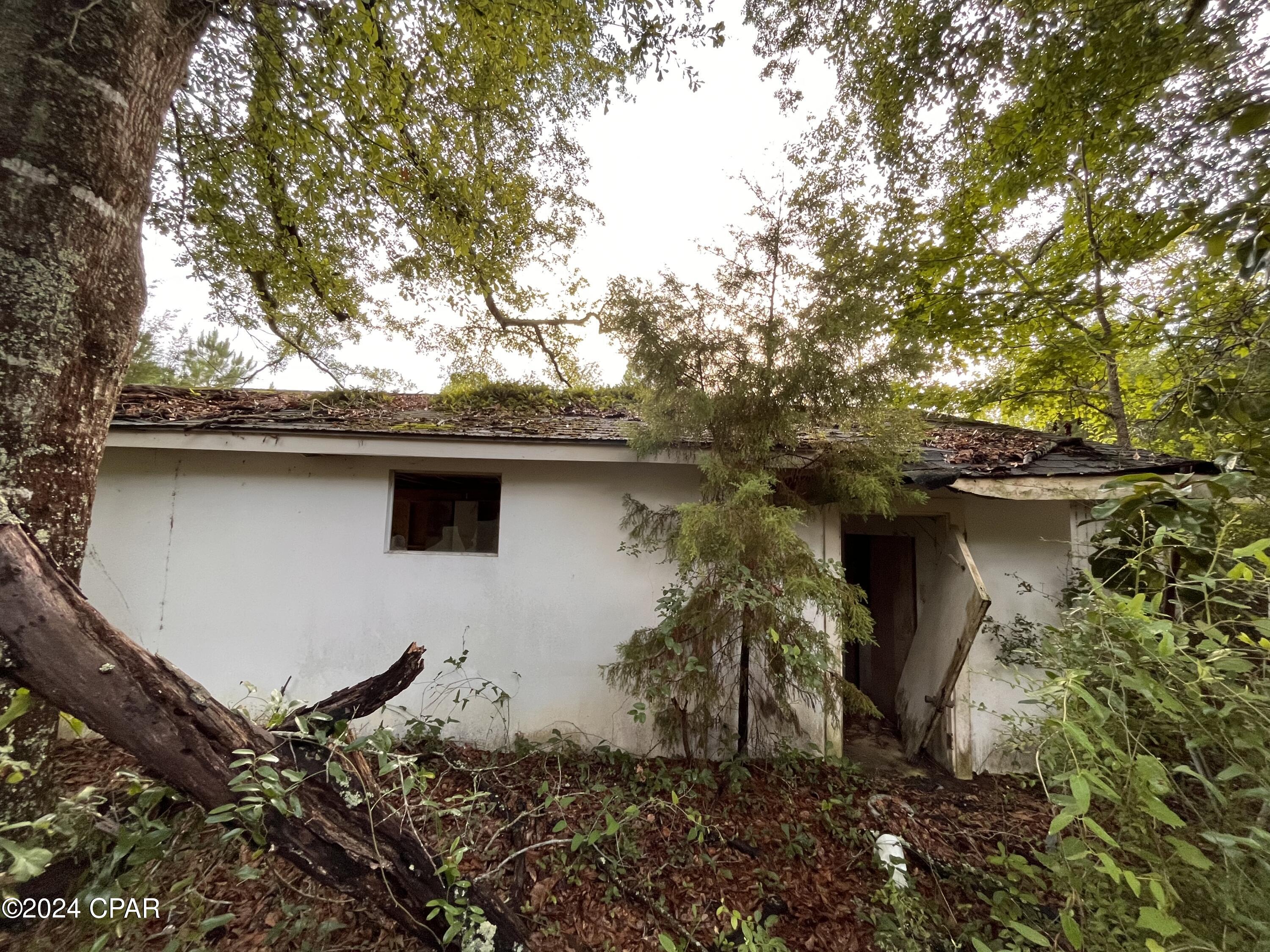 948 Jamie Drive Chipley, FL 32428 - Photo 3 of 12