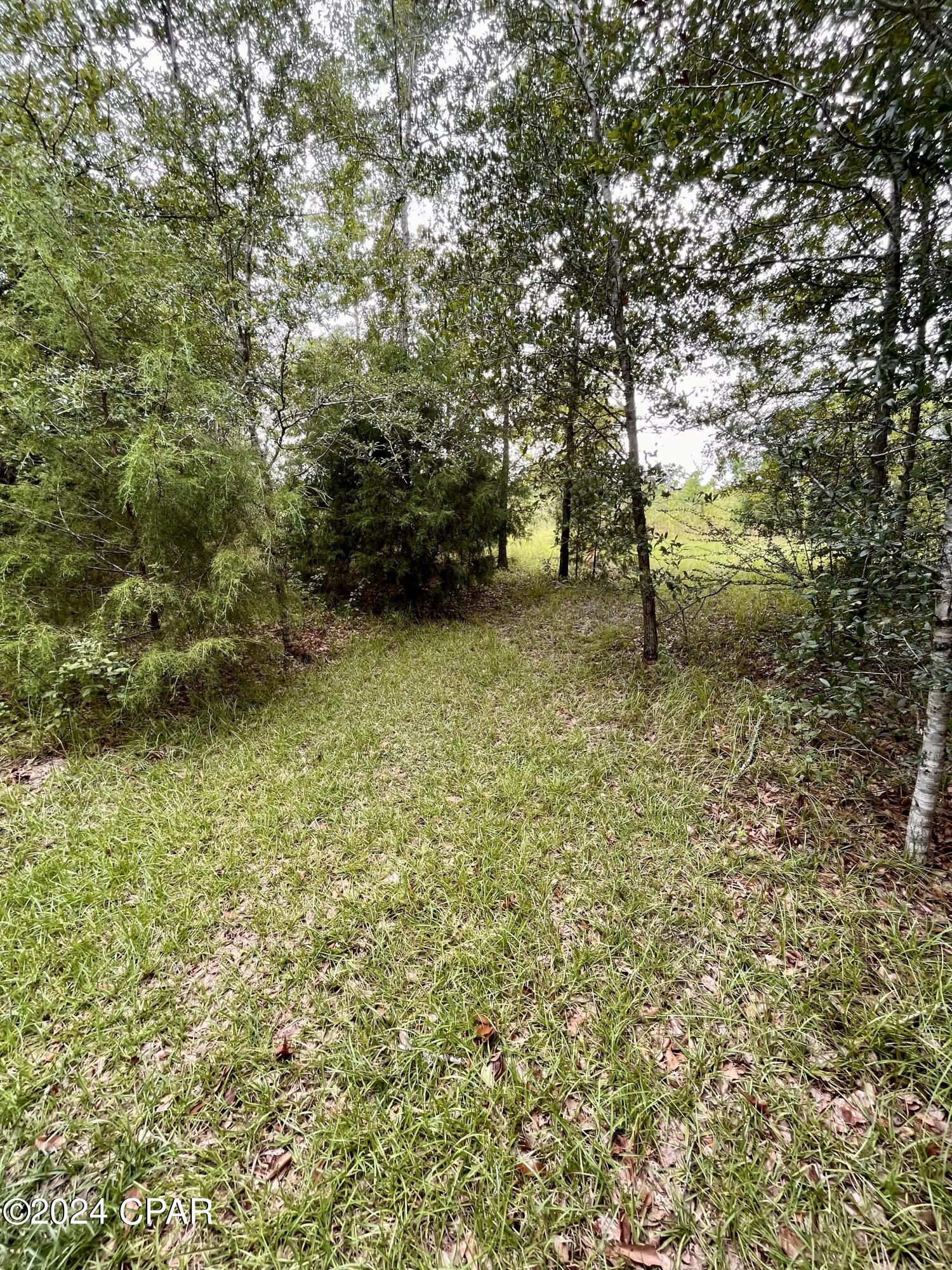 948 Jamie Drive Chipley, FL 32428 - Photo 5 of 12