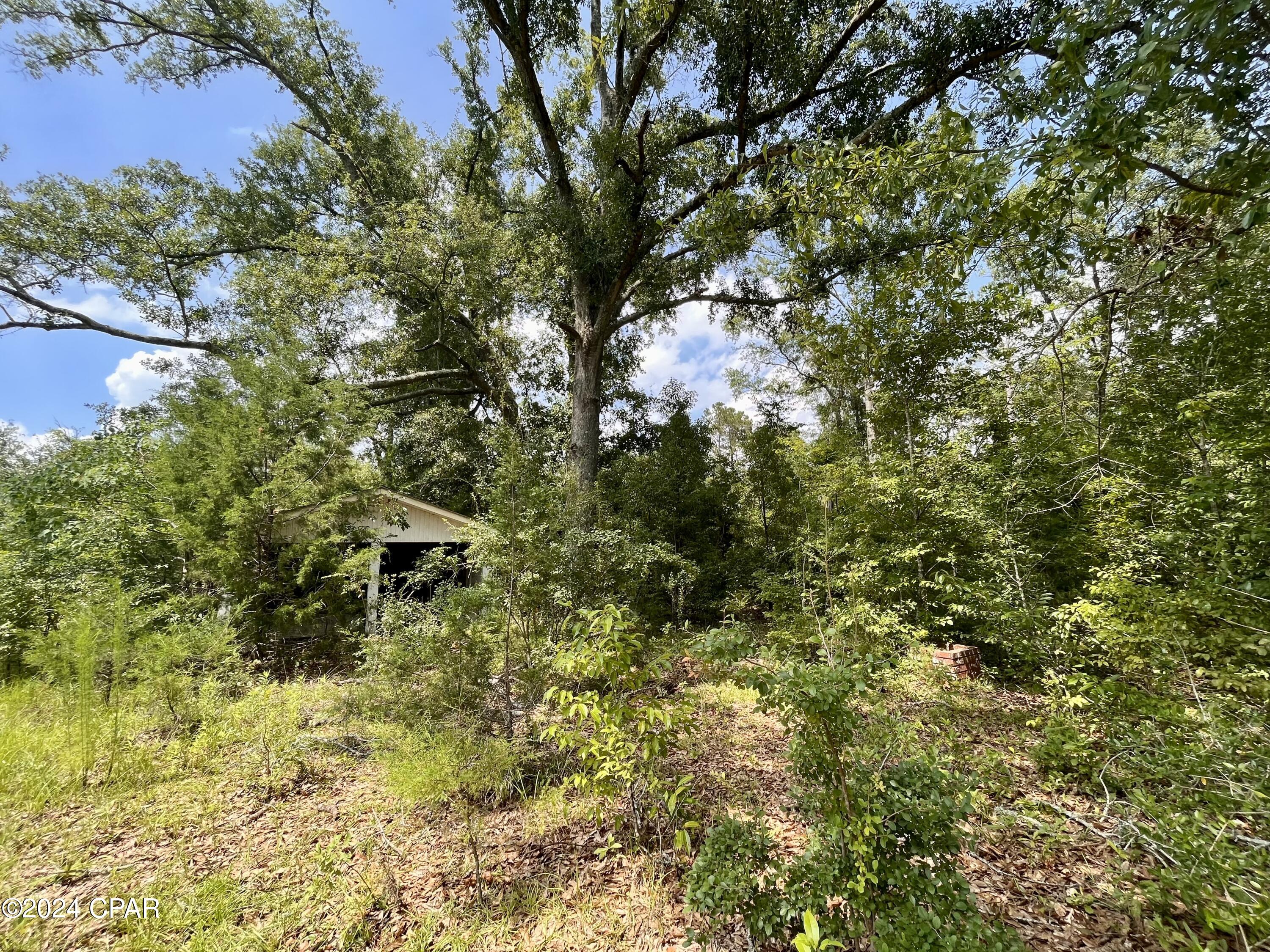 948 Jamie Drive Chipley, FL 32428 - Photo 6 of 12