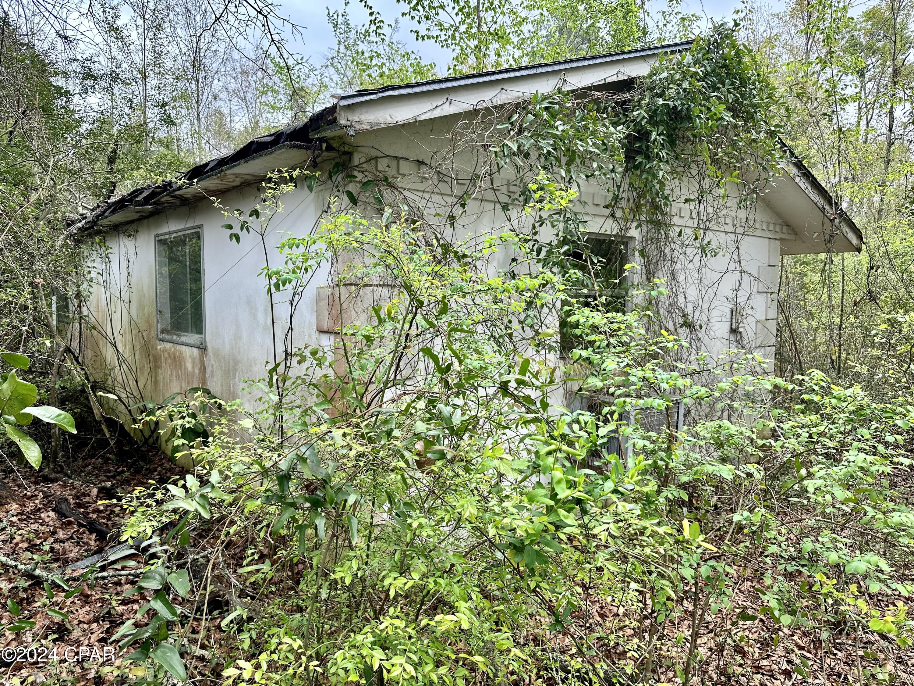 948 Jamie Drive Chipley, FL 32428 - Photo 8 of 12