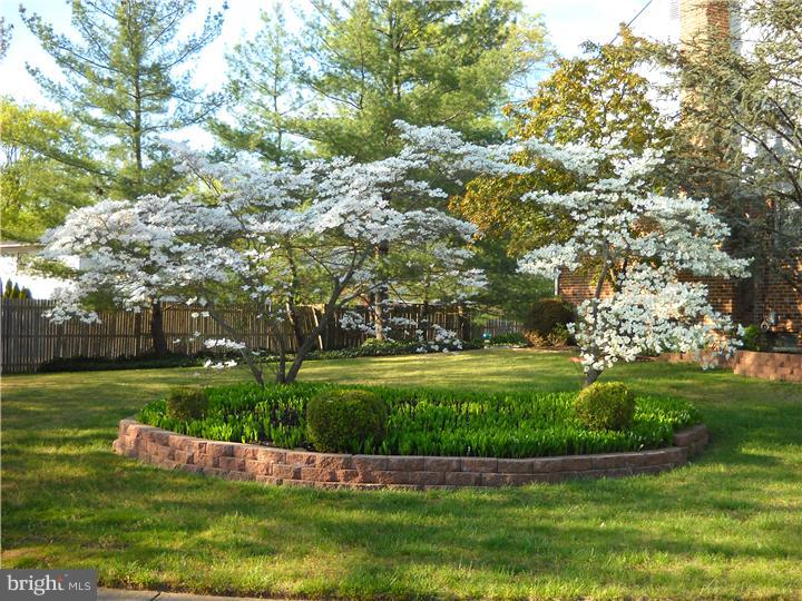 157 Ashbrook Road Cherry Hill, NJ 08034 - Photo 23 of 25