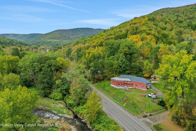 a view of a lush green forest with mountain