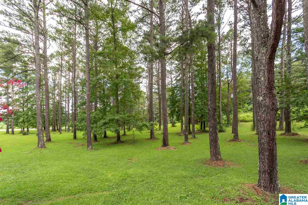 720 East Renfroe Road Talladega, AL 35160 - Photo 7 of 41