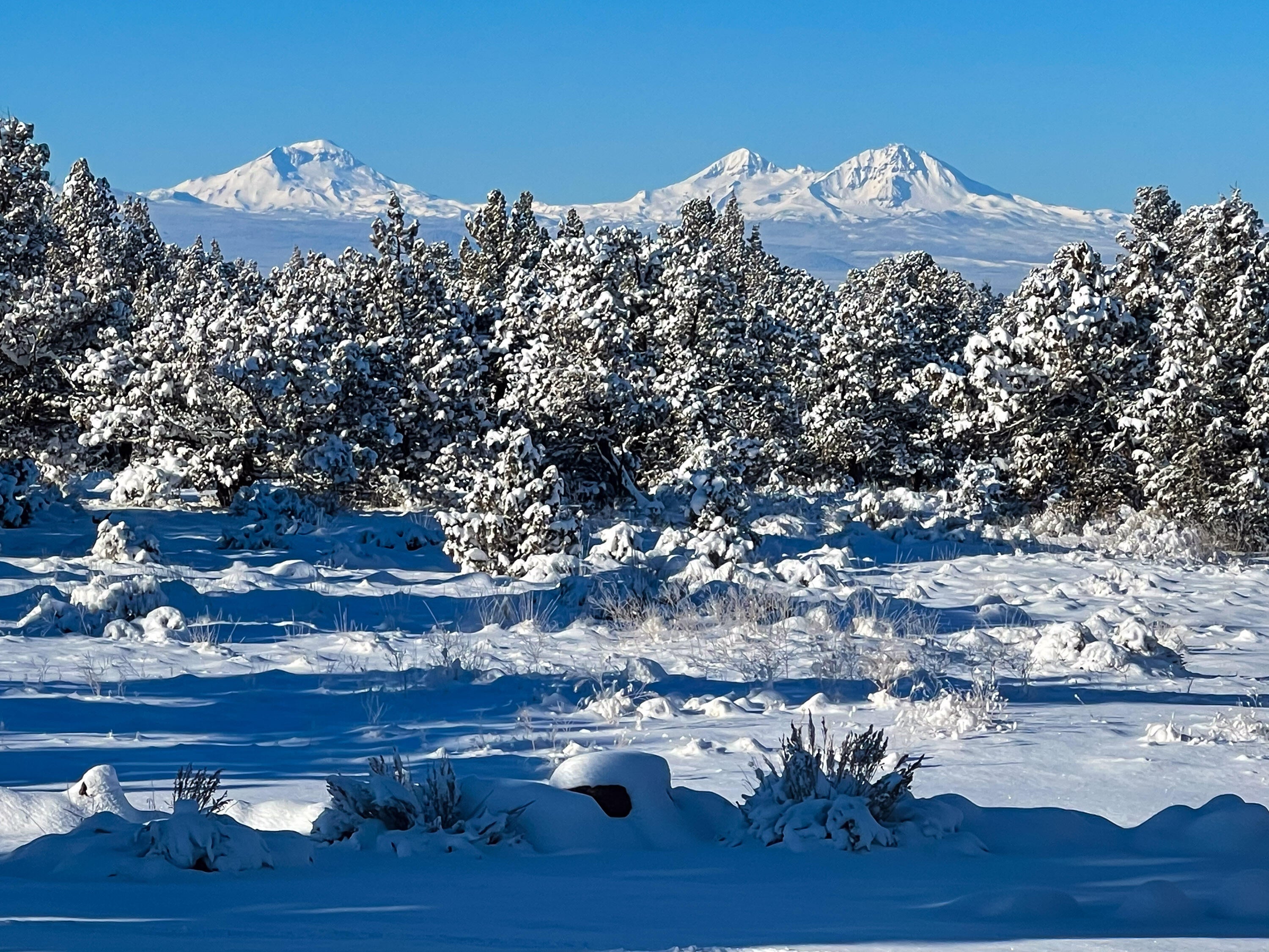 18598 Southwest Mount Adams Loop Powell Butte, OR 97753 - Photo 102 of 108 IMG_0537