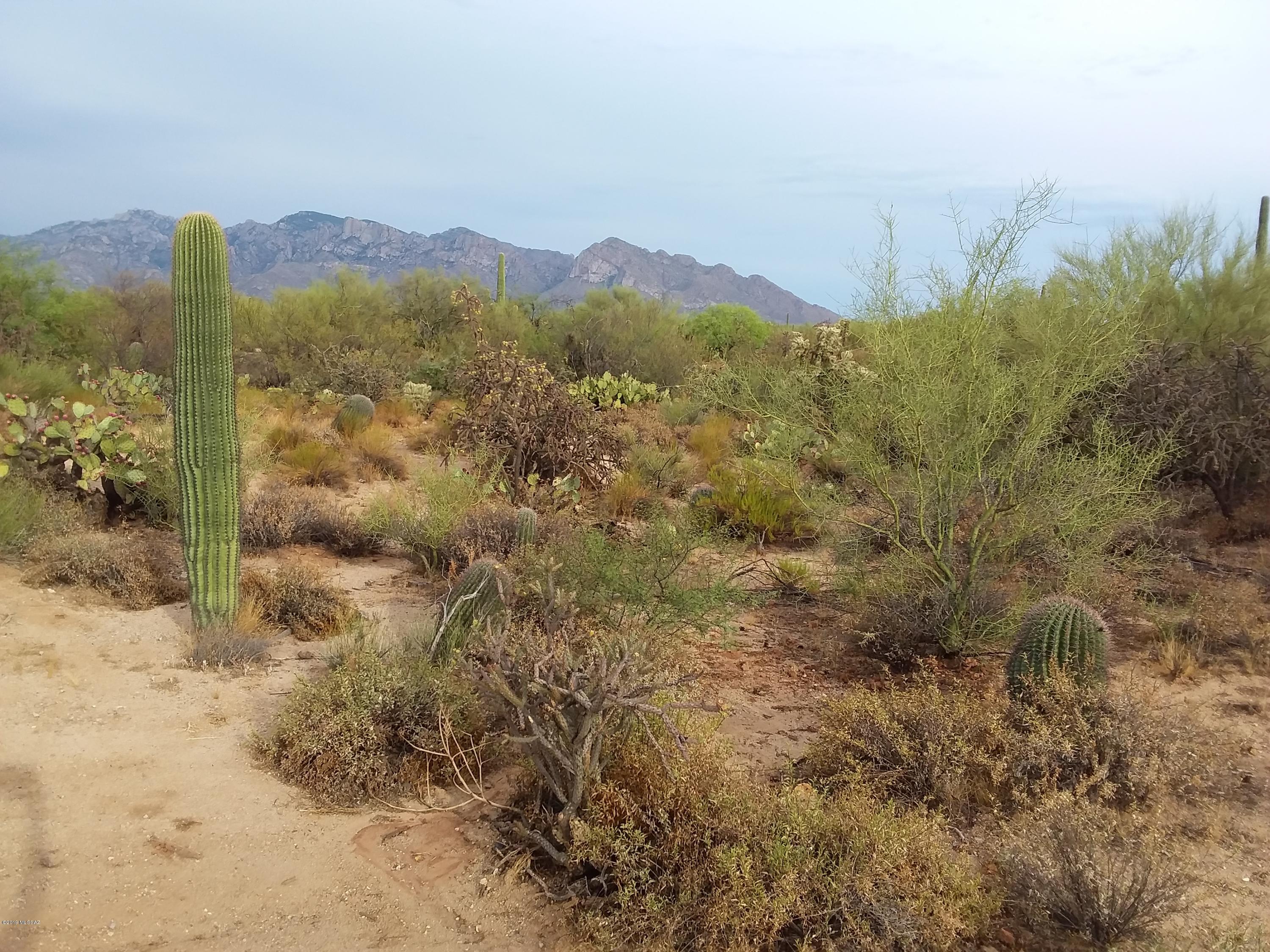 2315 West Tangerine Road Tucson, AZ 85742 - Photo 24 of 27
