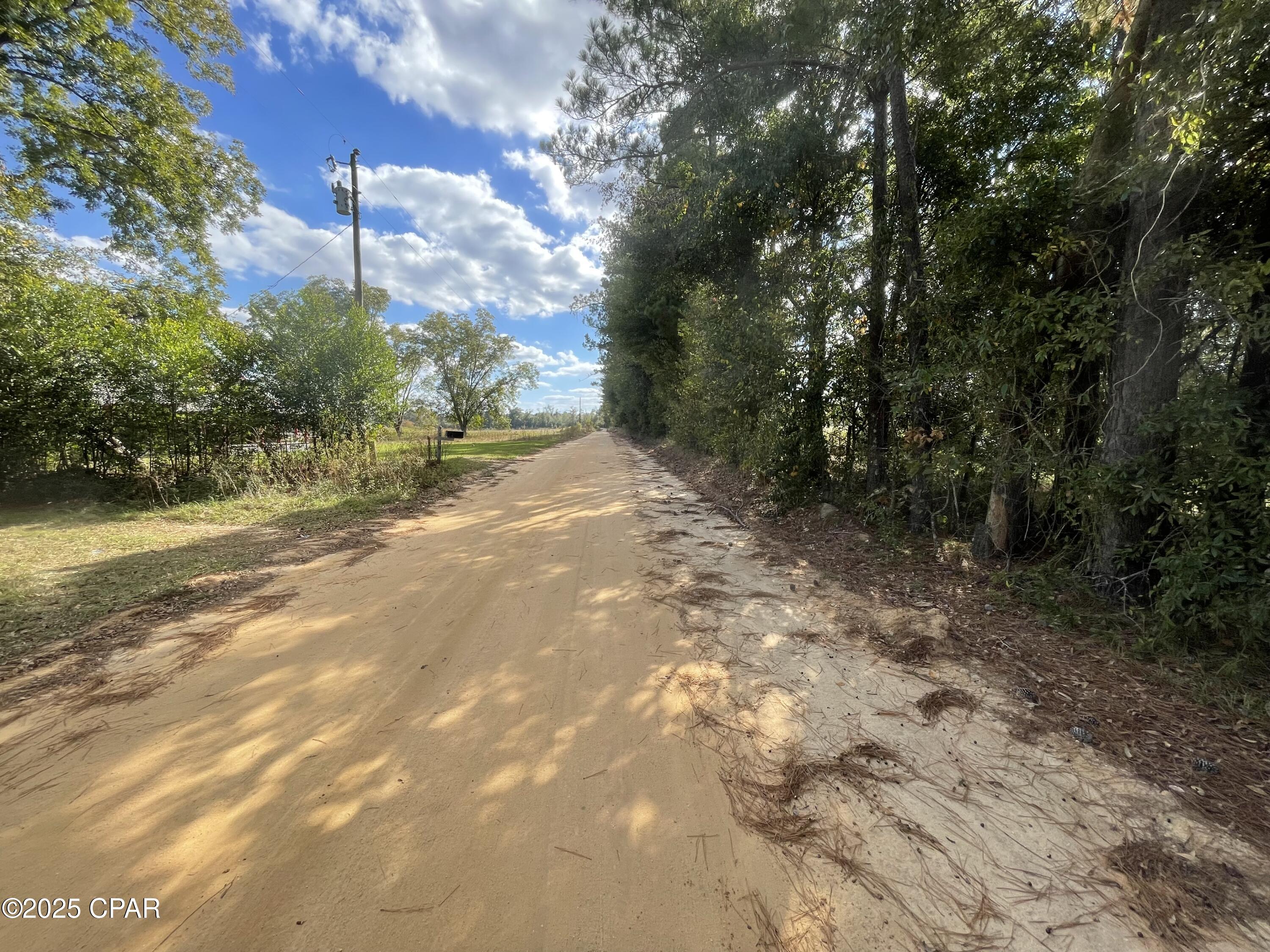 5 Welcome Church Road Grand Ridge, FL 32442 - Photo 11 of 16