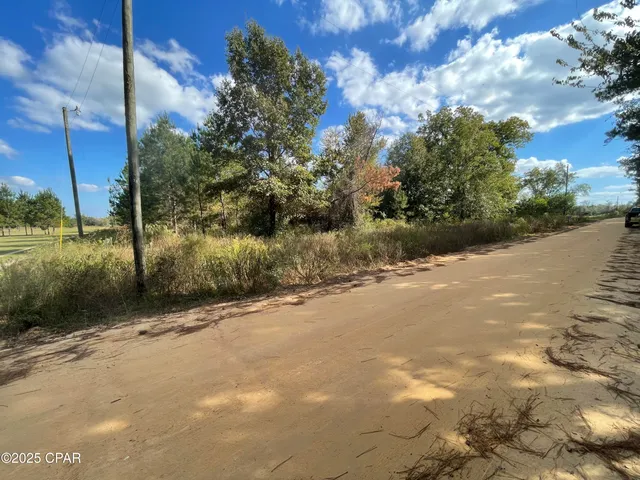 $29,999 | 5 Welcome Church Road, Grand Ridge, FL 32442