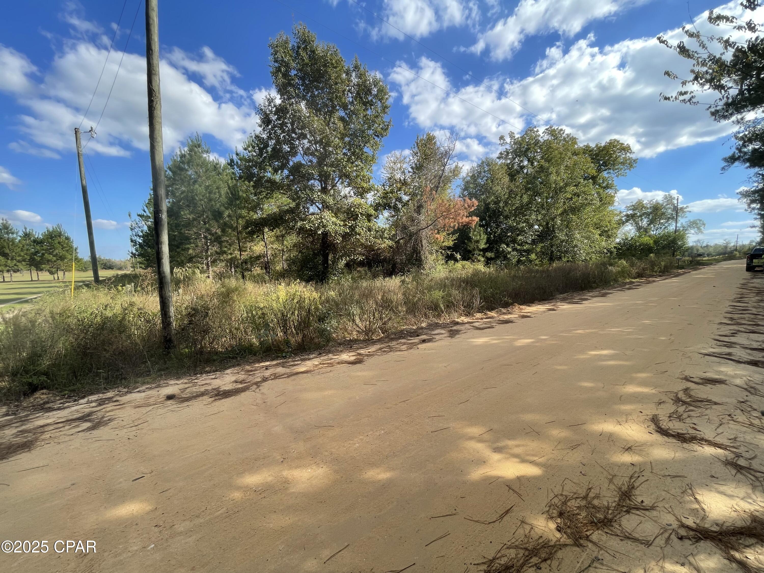 5 Welcome Church Road Grand Ridge, FL 32442 - Photo 12 of 16