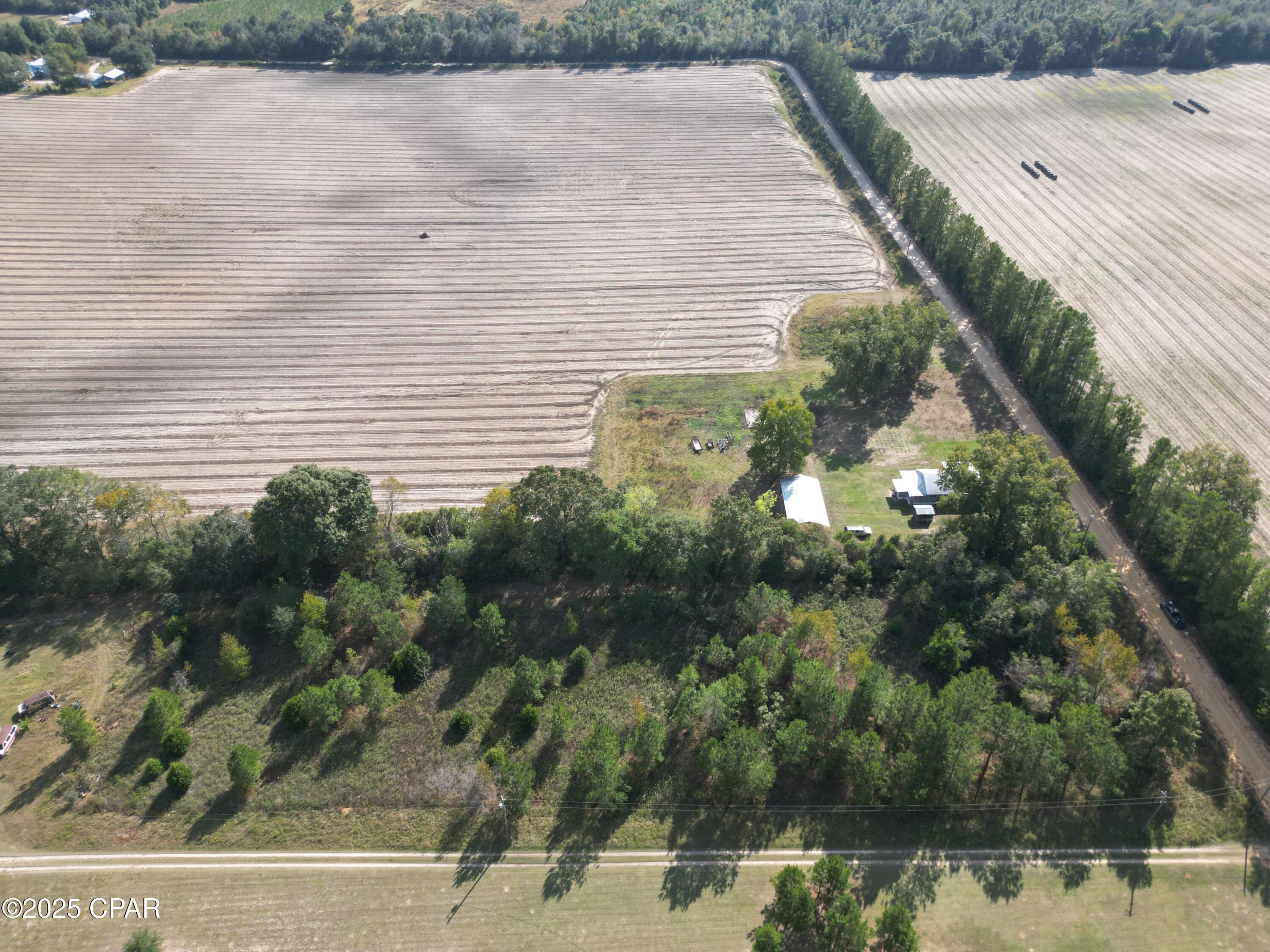 5 Welcome Church Road Grand Ridge, FL 32442 - Photo 5 of 16