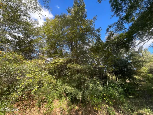 $25,000 | 5 Welcome Church Road, Grand Ridge, FL 32442