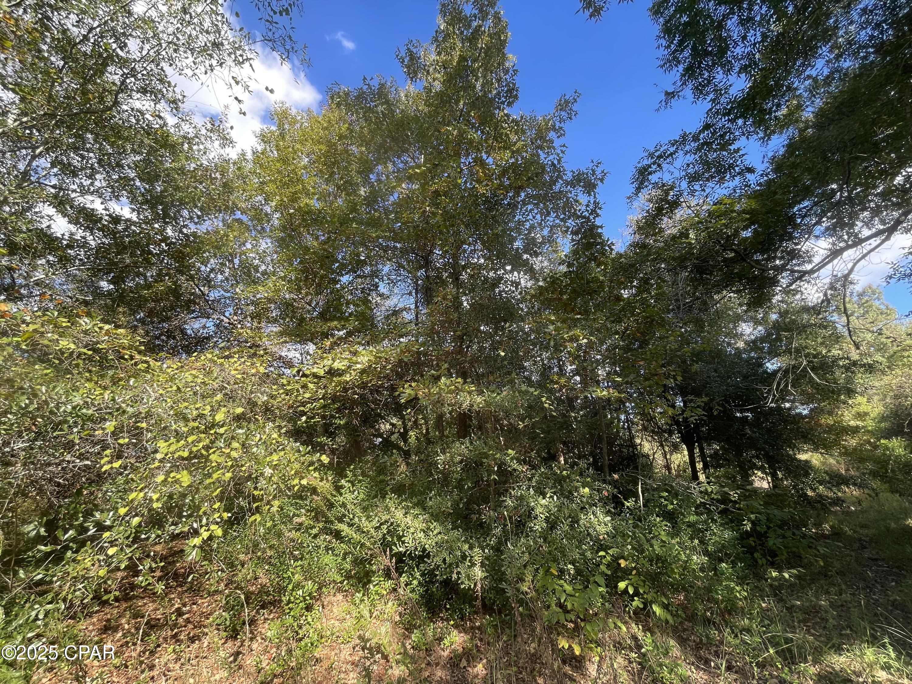 5 Welcome Church Road Grand Ridge, FL 32442 - Photo 8 of 16