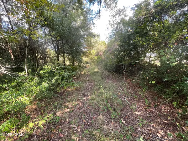 $25,000 | 5 Welcome Church Road, Grand Ridge, FL 32442