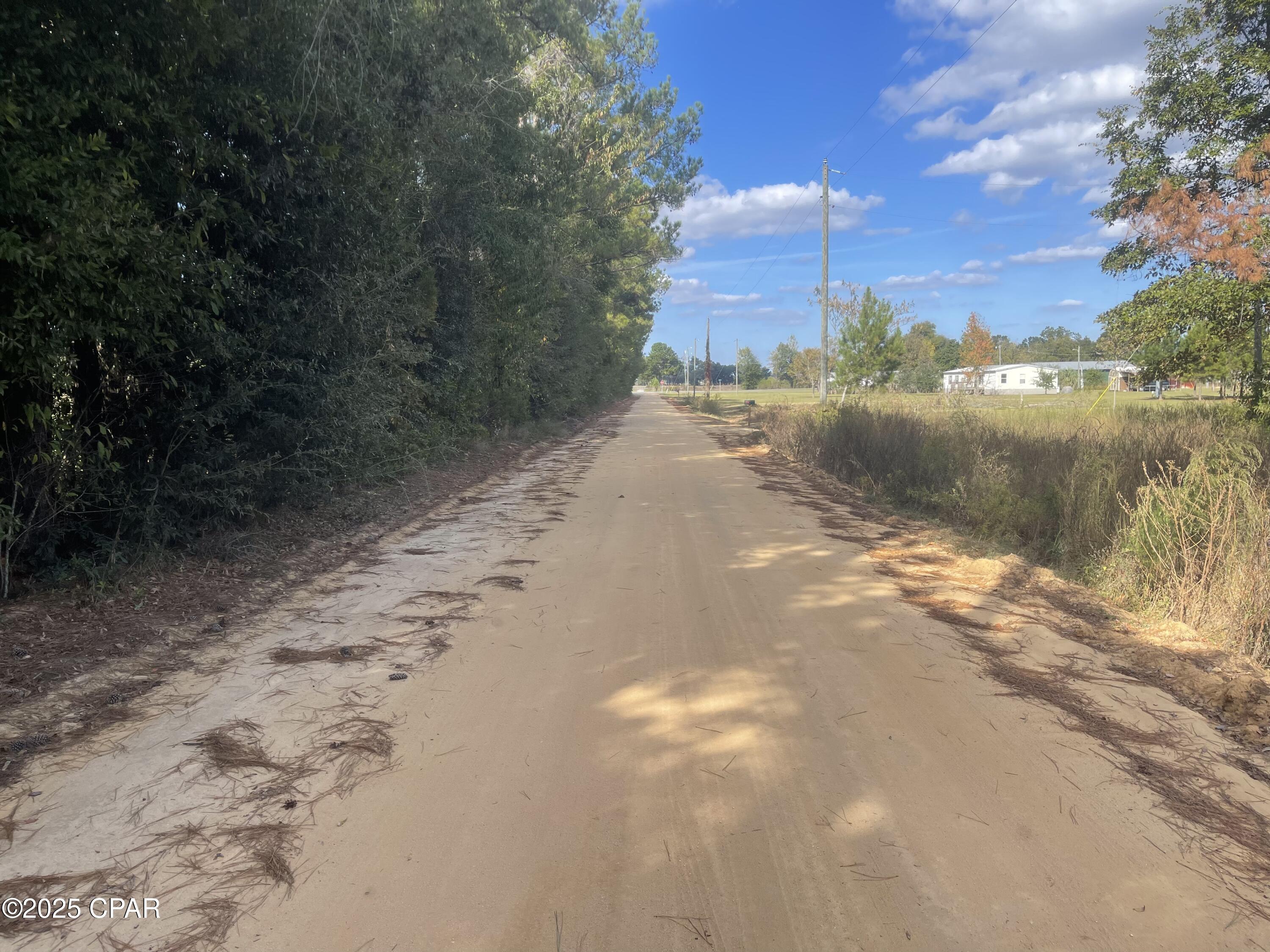 5 Welcome Church Road Grand Ridge, FL 32442 - Photo 10 of 16