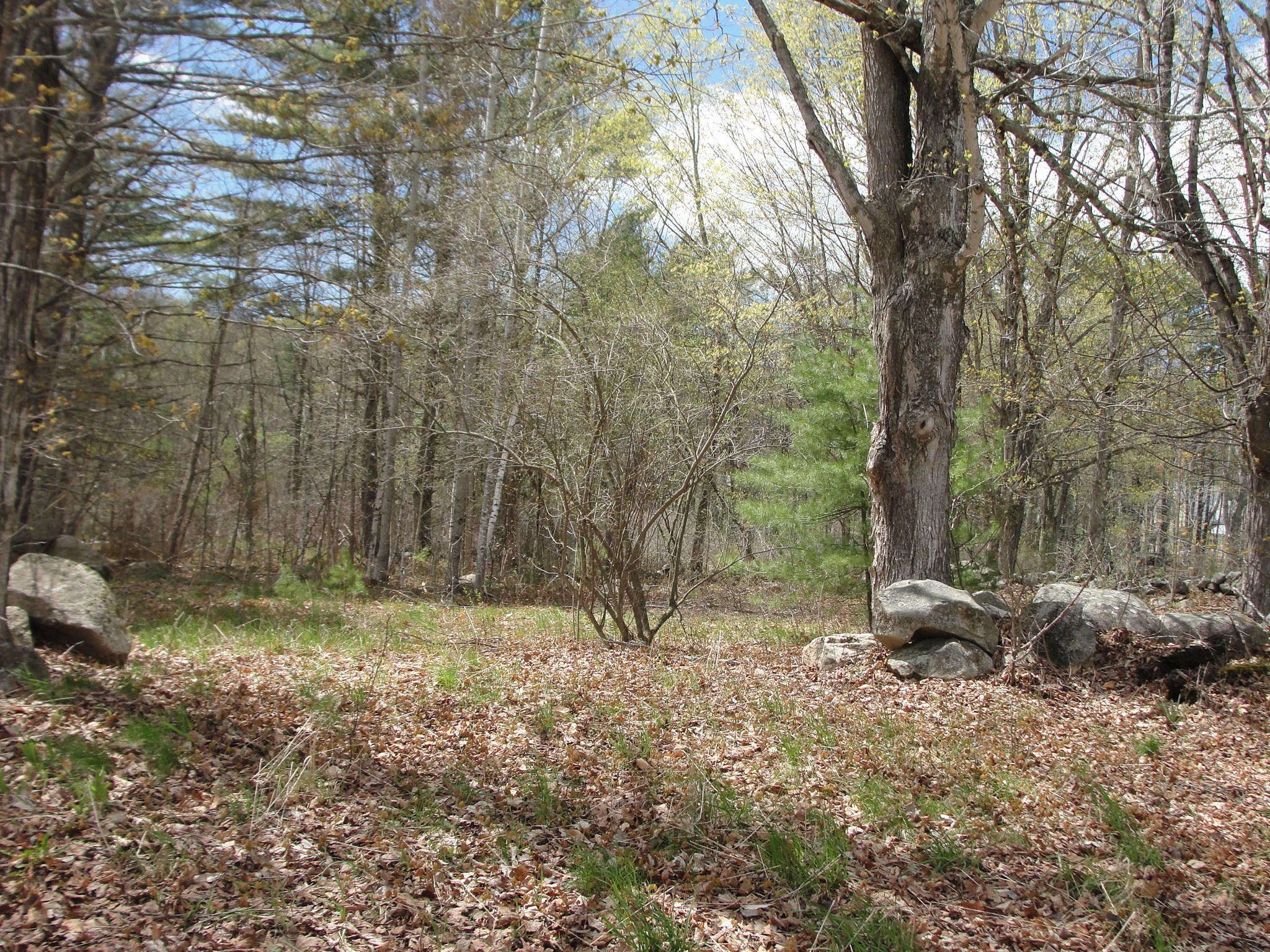 54 Old Elm Road Bridgton, ME 04009 - Photo 8 of 10 old elm