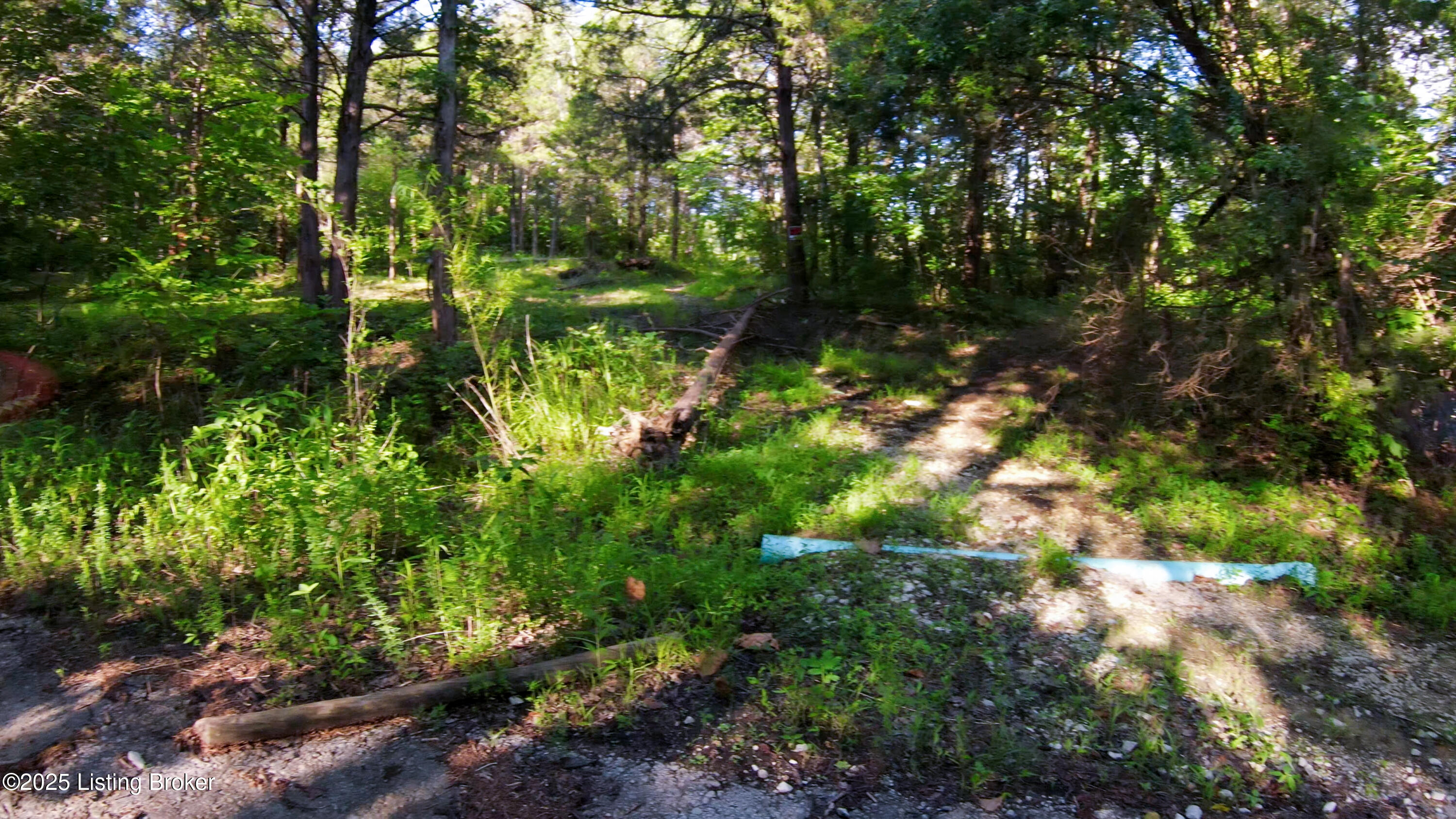 0 Grayson Springs Road Leitchfield, KY 42754 - Photo 18 of 35 28