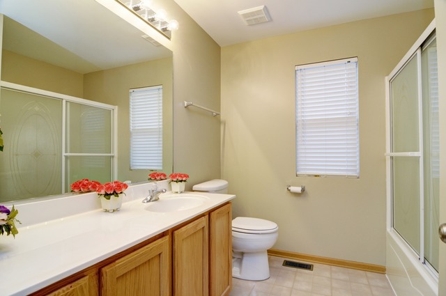 550 Wynbrooke Road Romeoville, IL 60446 - Photo 20 of 23