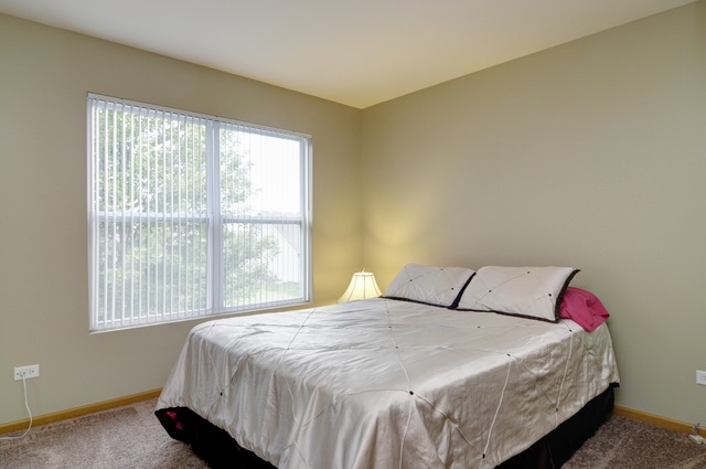 550 Wynbrooke Road Romeoville, IL 60446 - Photo 23 of 23