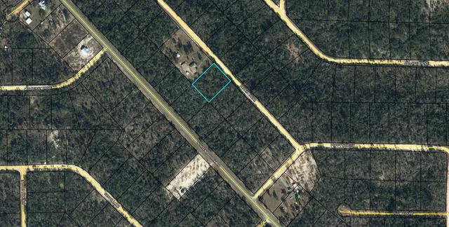 $15,000 | Lot 11 Papaya Street, Marianna, FL 32448