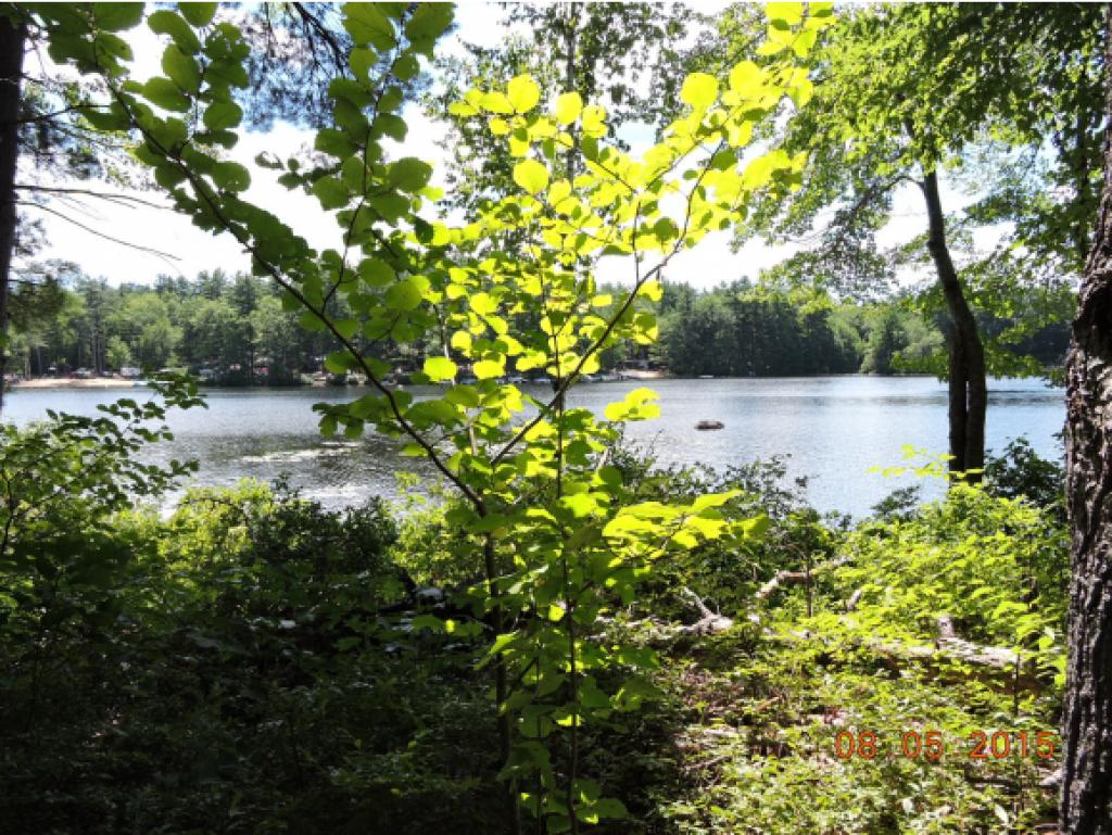 Lot #7 Calef Island Road Barrington, NH 03825 - Photo 14 of 16 Gallery Image 14