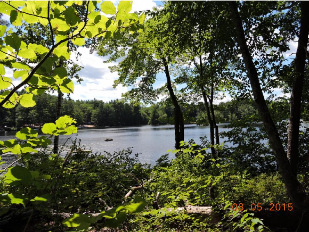 Lot #7 Calef Island Road Barrington, NH 03825 - Photo 3 of 16 Gallery Image 3
