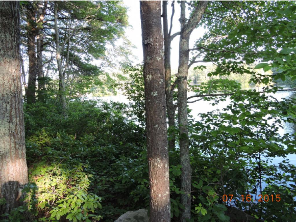 Lot #7 Calef Island Road Barrington, NH 03825 - Photo 4 of 16 Gallery Image 4