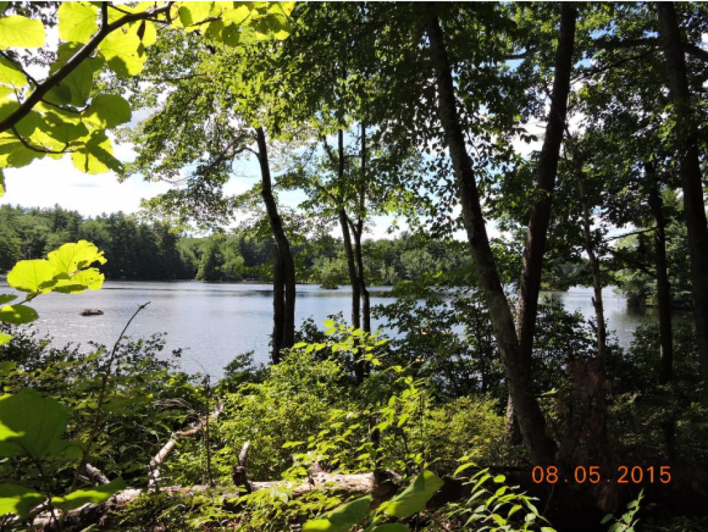 Lot #7 Calef Island Road Barrington, NH 03825 - Photo 5 of 16 Gallery Image 5