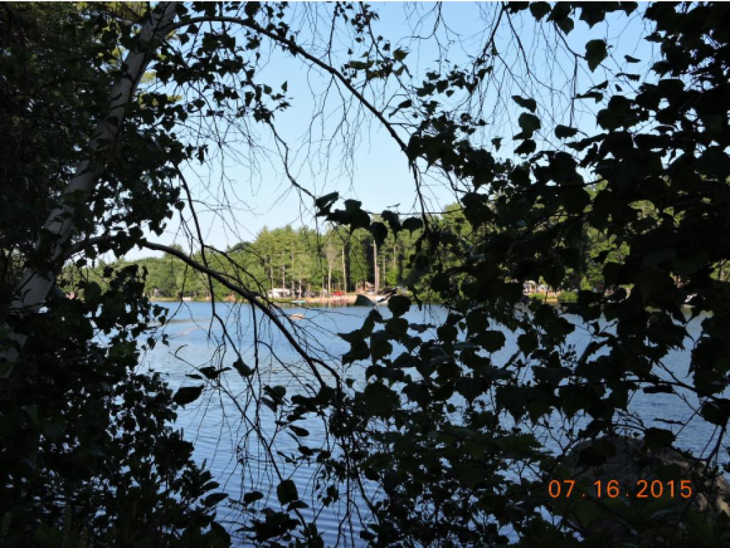Lot #7 Calef Island Road Barrington, NH 03825 - Photo 8 of 16 Gallery Image 8