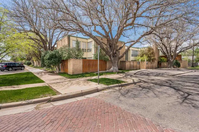 a street view with large trees