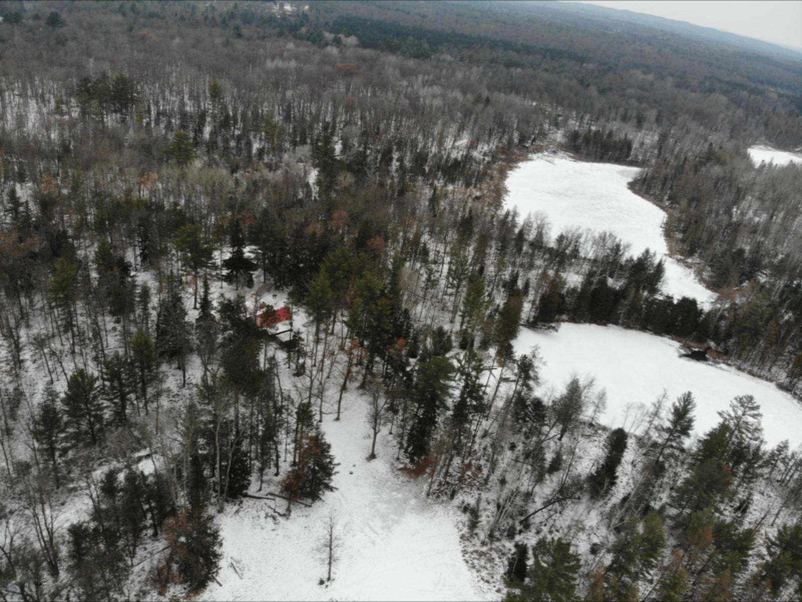 6130 East County Line Road South Branch, MI 48761 - Photo 37 of 66 38