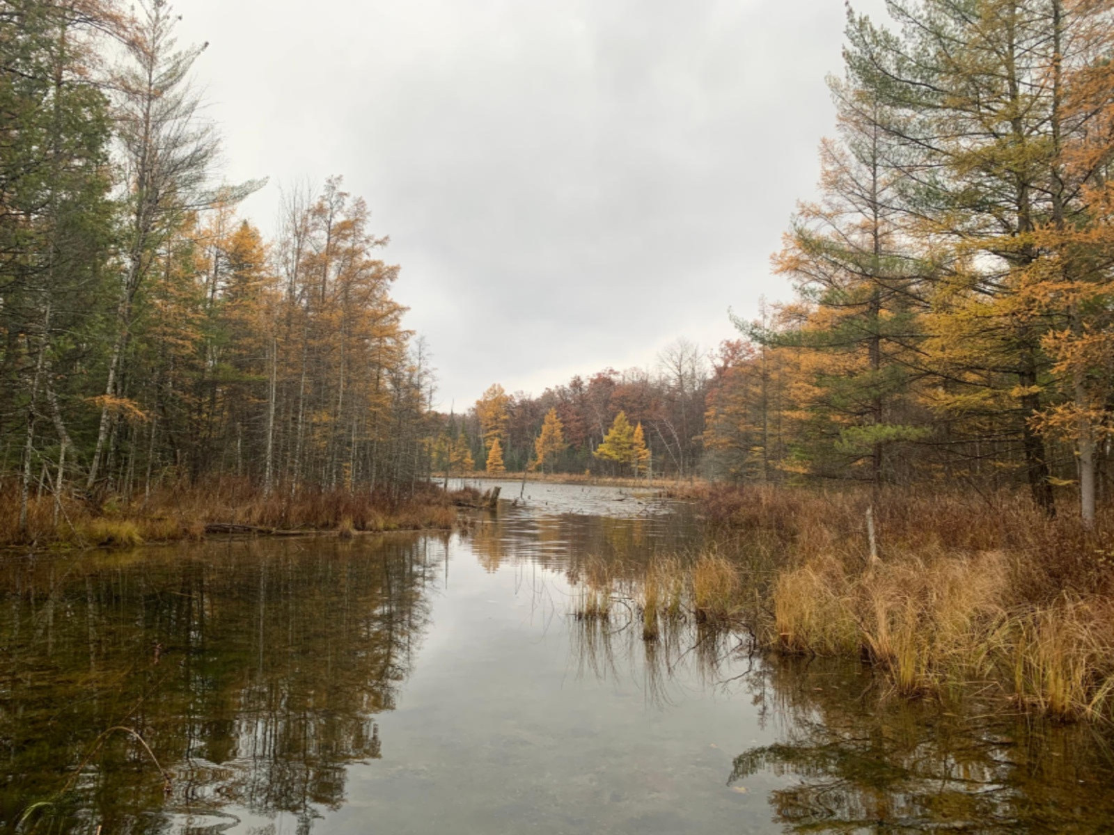 6130 East County Line Road South Branch, MI 48761 - Photo 43 of 66 44