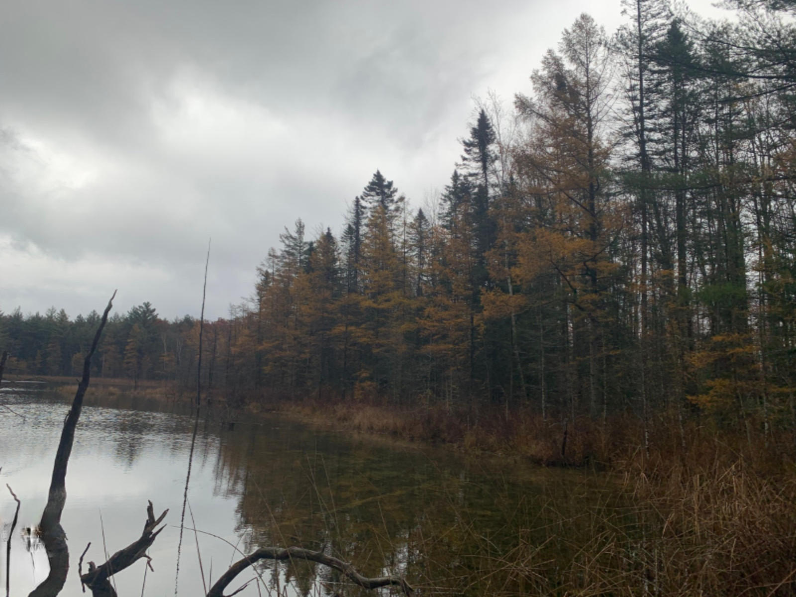 6130 East County Line Road South Branch, MI 48761 - Photo 44 of 66 45