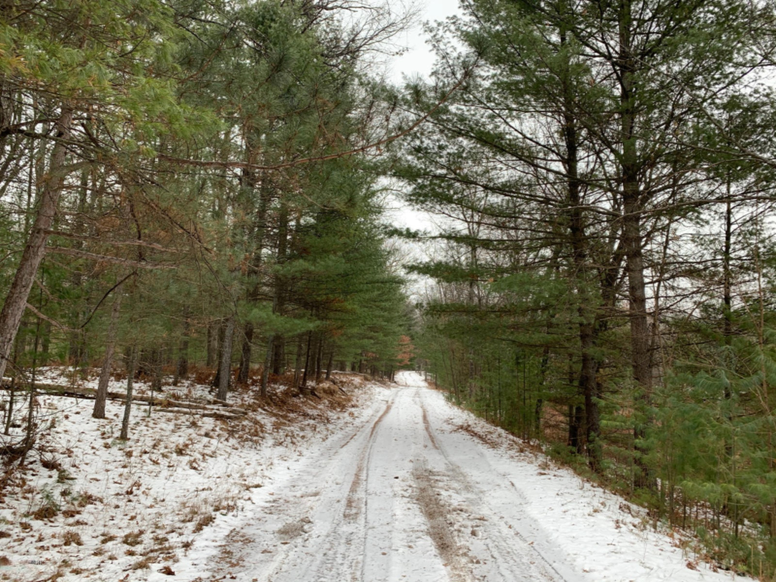 6130 East County Line Road South Branch, MI 48761 - Photo 55 of 66 56