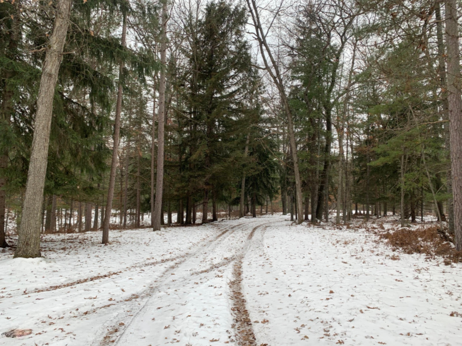6130 East County Line Road South Branch, MI 48761 - Photo 58 of 66 61