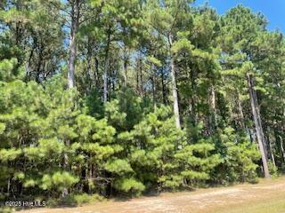 449 Riversound Drive Edenton, NC 27932 - Photo 4 of 12 RS449-3