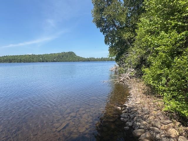 14-xx Tom Lake Road Hovland, MN 55606 - Photo 1 of 17