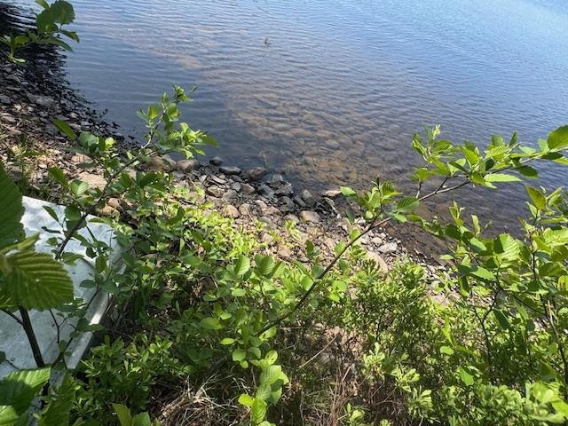 14-xx Tom Lake Road Hovland, MN 55606 - Photo 14 of 17