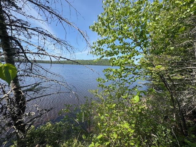 14-xx Tom Lake Road Hovland, MN 55606 - Photo 16 of 17