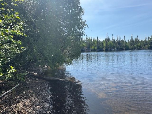 14-xx Tom Lake Road Hovland, MN 55606 - Photo 17 of 17