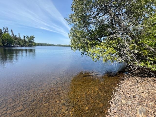14-xx Tom Lake Road Hovland, MN 55606 - Photo 2 of 17
