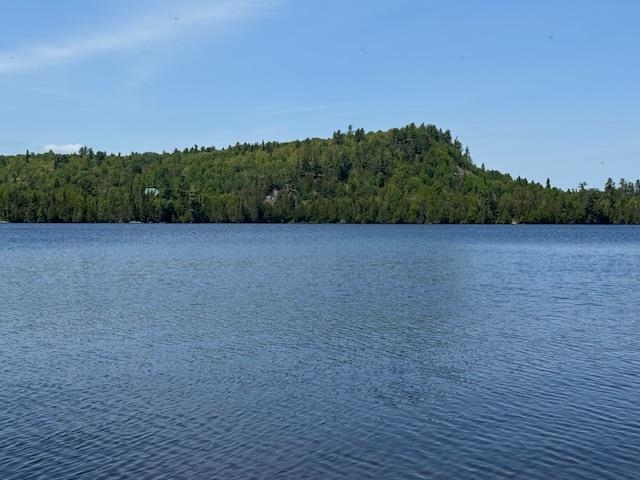 14-xx Tom Lake Road Hovland, MN 55606 - Photo 3 of 17