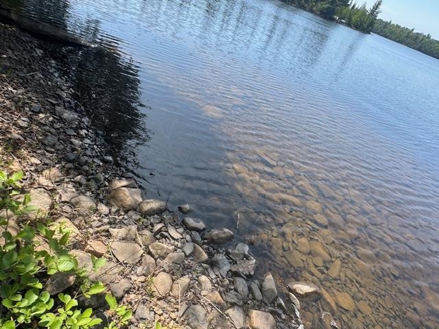 14-xx Tom Lake Road Hovland, MN 55606 - Photo 5 of 17