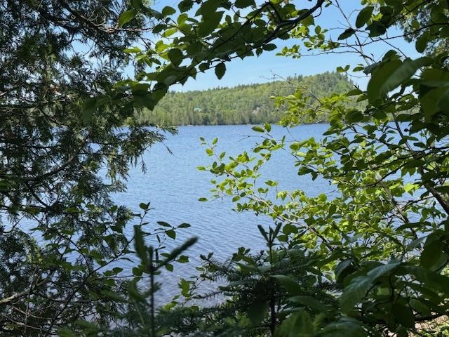 14-xx Tom Lake Road Hovland, MN 55606 - Photo 6 of 17