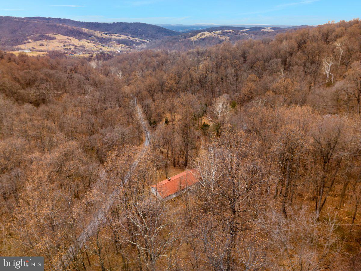503 Pomeroy Road Front Royal, VA 22630 - Photo 31 of 41 a view of a mountain