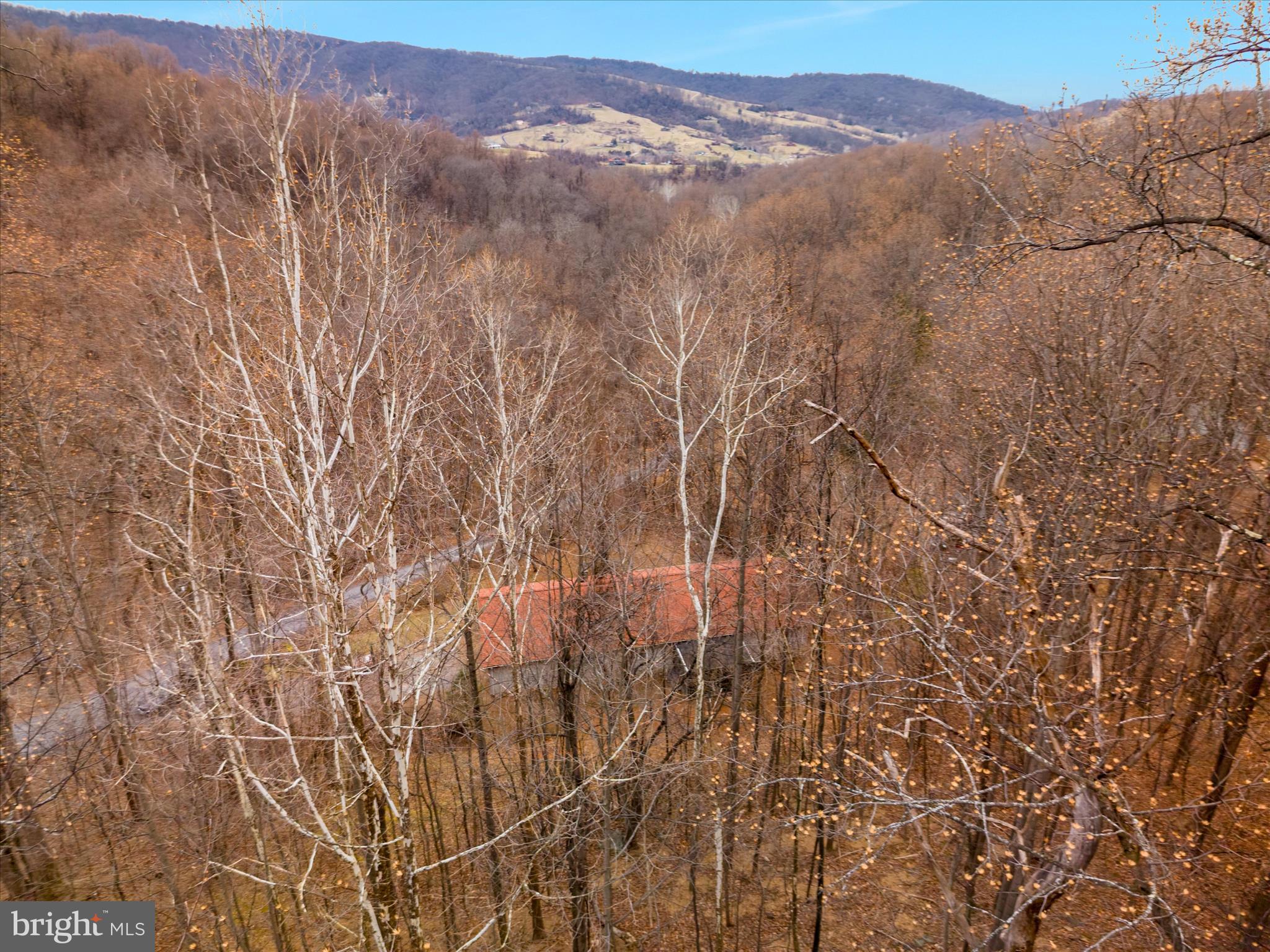 503 Pomeroy Road Front Royal, VA 22630 - Photo 40 of 41 a view of mountain with trees in the background