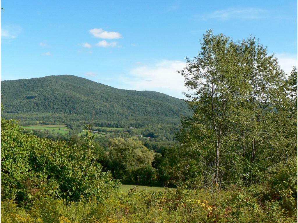 425 Beaver Brook Road Pawlet, VT 05761 - Photo 3 of 5 Gallery Image 3