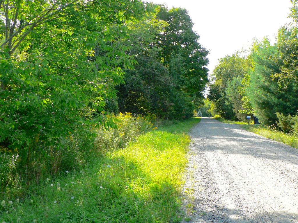 425 Beaver Brook Road Pawlet, VT 05761 - Photo 4 of 5 Gallery Image 4