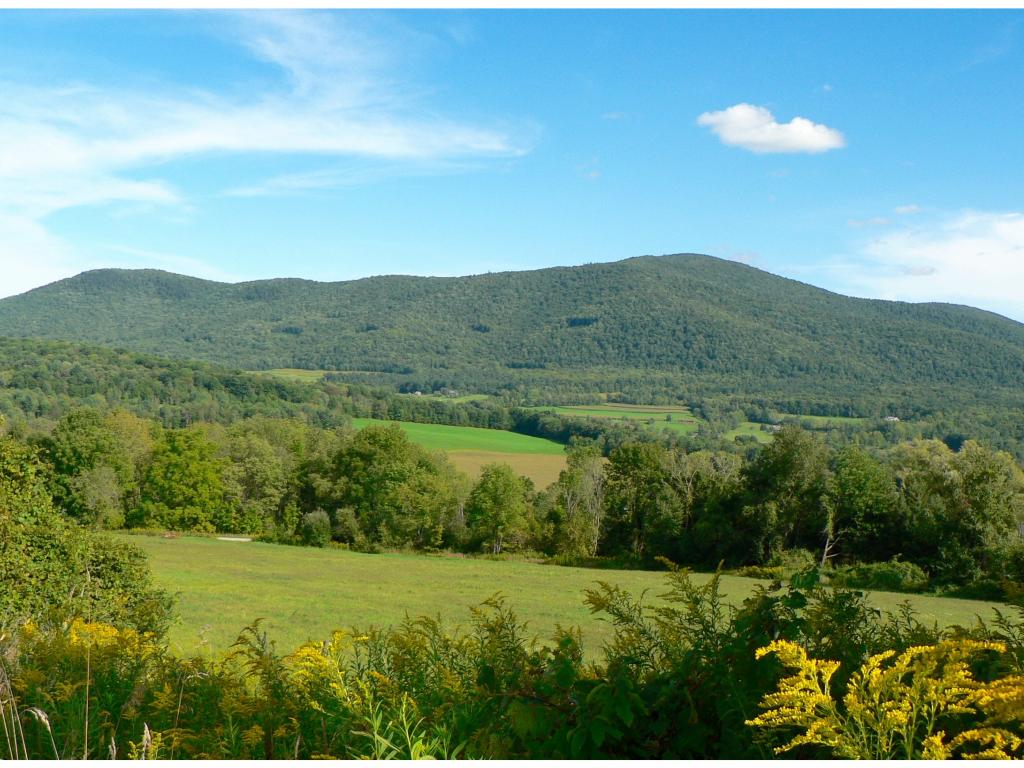 425 Beaver Brook Road Pawlet, VT 05761 - Photo 5 of 5 Gallery Image 5