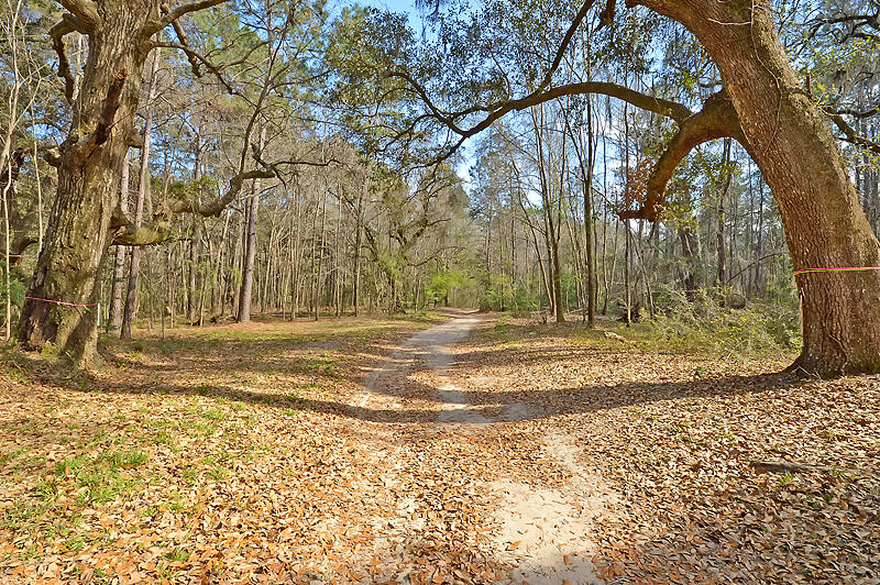 417 Ribbon Road Summerville, SC 29483 - Photo 59 of 64 DSC_0272-copy